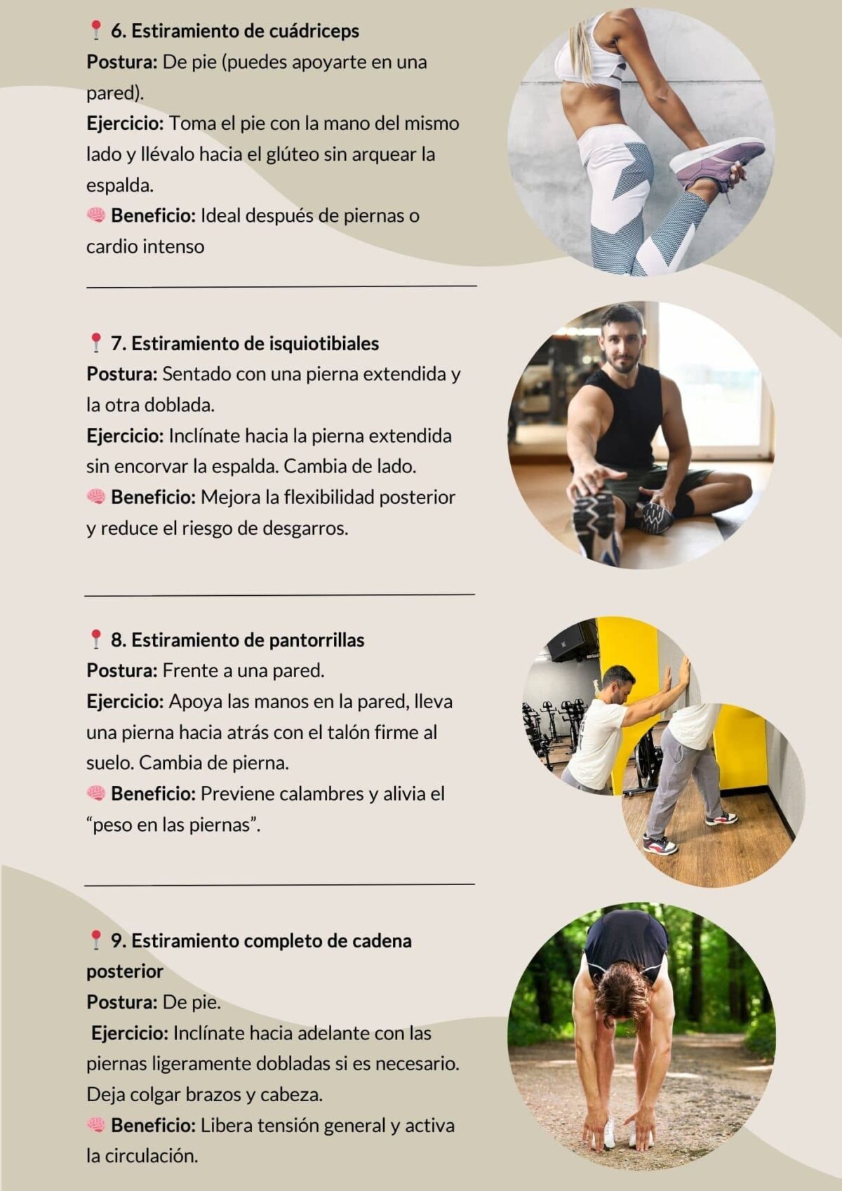 Guía integral para el bienestar deportivo 2