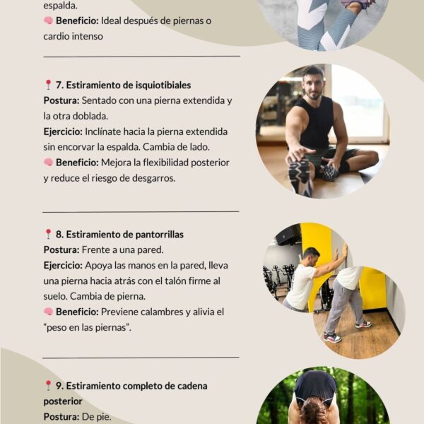 Guía integral para el bienestar deportivo 2
