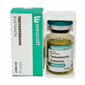 Sustanon 250 mg Wescott