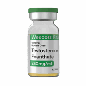 Testosterone Enanthate 250 mg Wescott